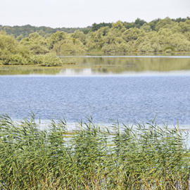 Camping Haute-Marne
