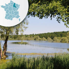 Camping Champagne-Ardenne